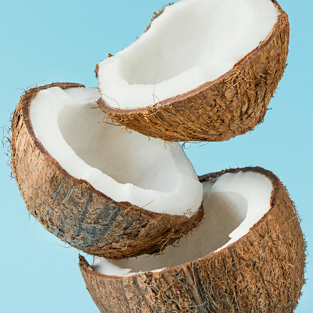Sapun Lichid - KABINETT - 500 ml - Nuca de cocos si vanilie