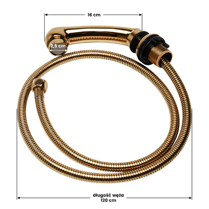 Para dus gold pentru Scafa coafor frizerie mic