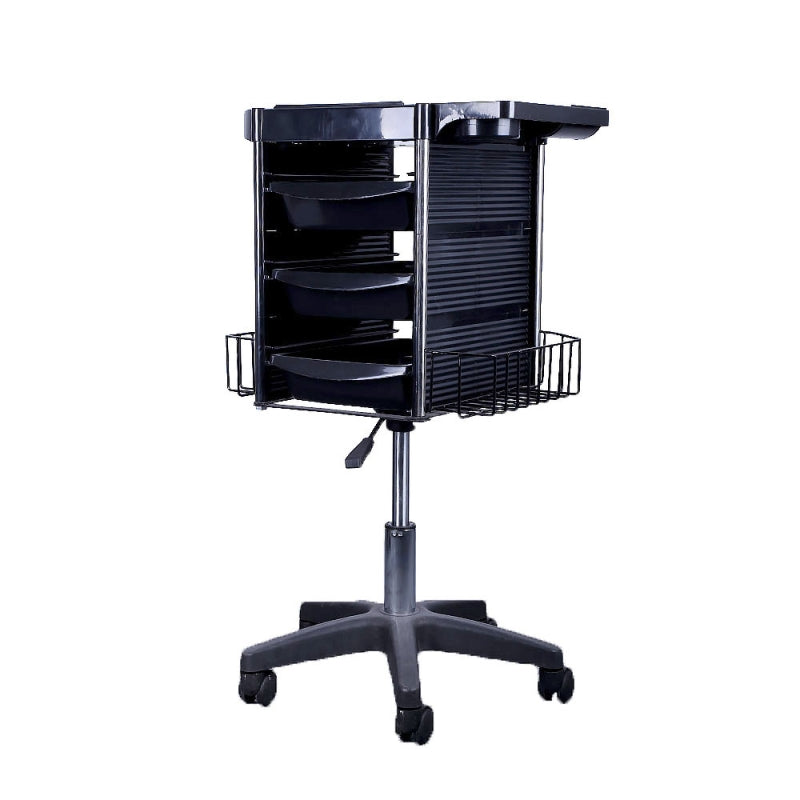 Ucenic model 6